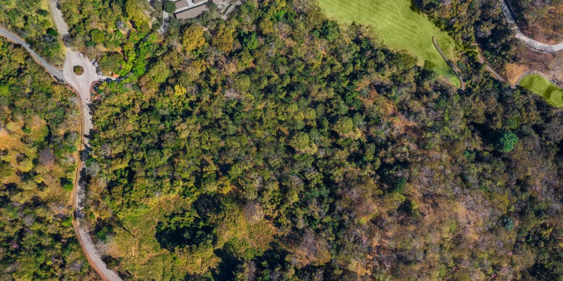 Property Featured Image