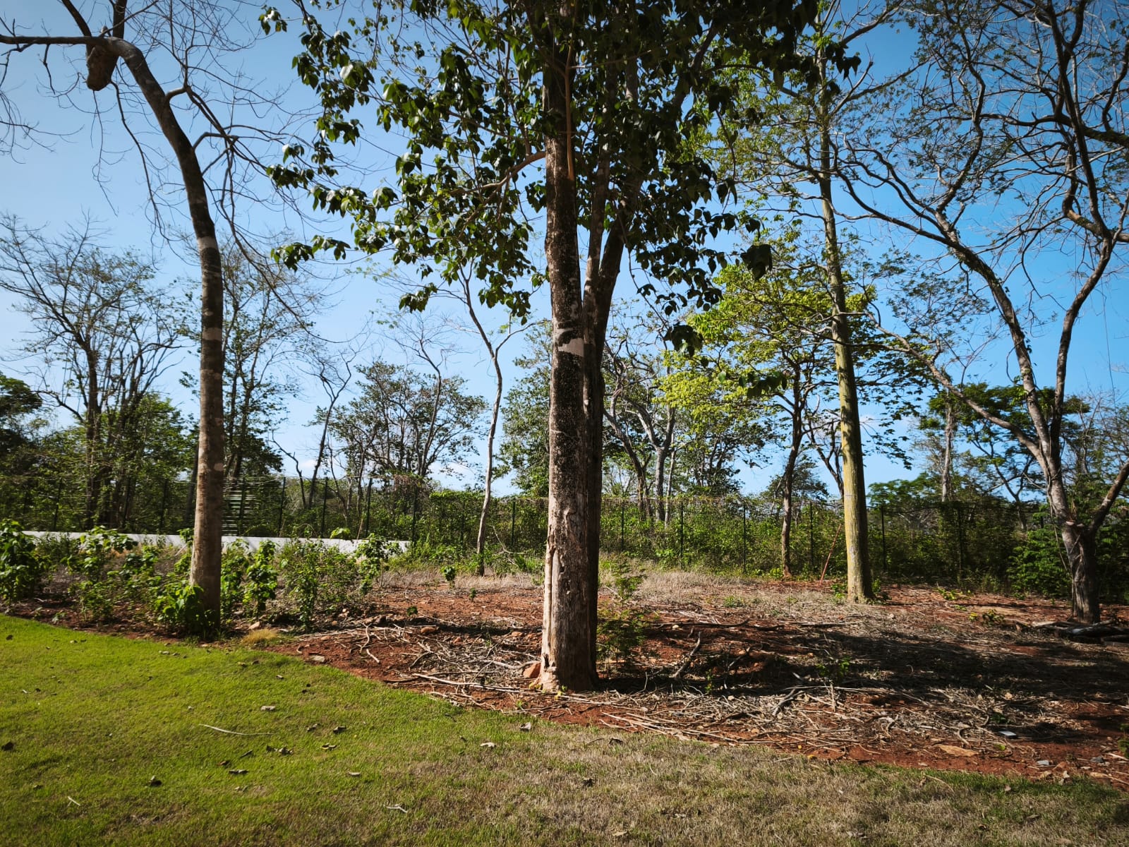ALMA Avellanas homesites near Playa Avellanas, Guanacaste – photo 7